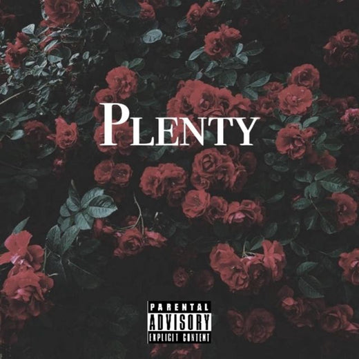 N.S - 'Plenty' [Ringtone]
