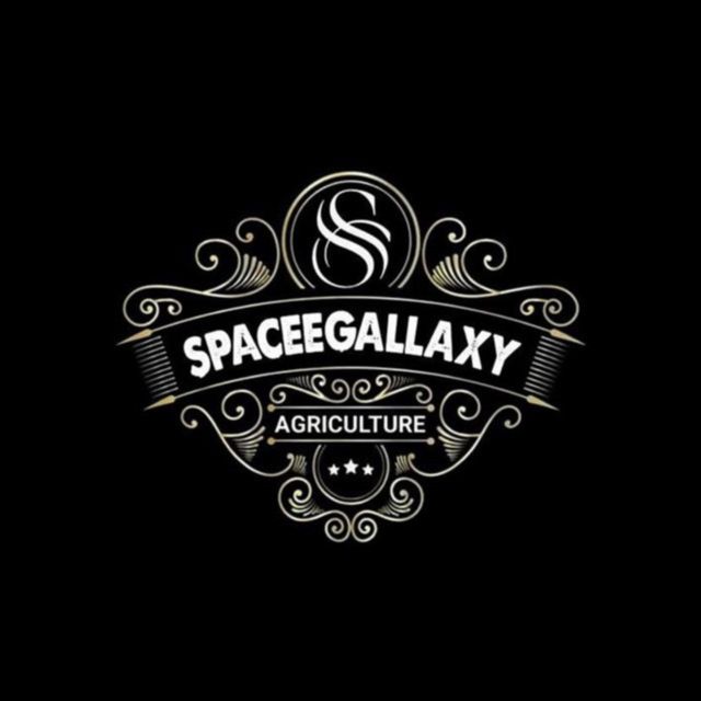 MEDIA14 - 'SPACEEGALLAXY (Agriculture)' [Ringtone]