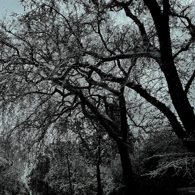 Lucid Corpse - 'Perception' [Ringtone]