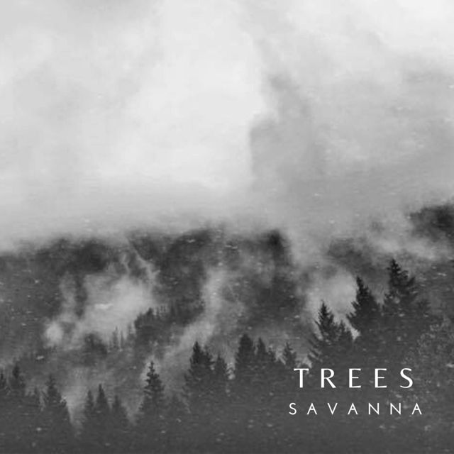 Savanna - 'Trees' [Ringtone]