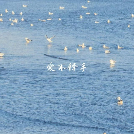 半噸兄弟 - '爱不释手' [Ringtone]