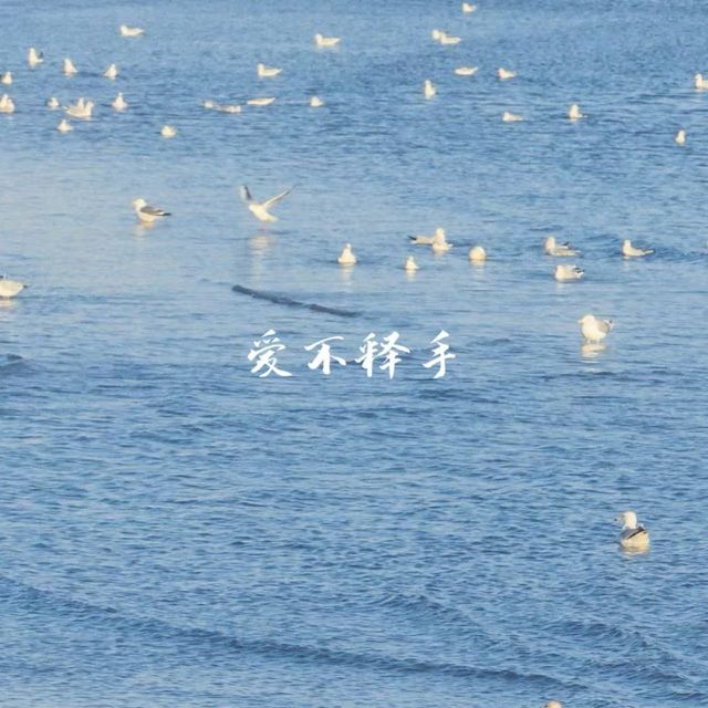 半噸兄弟 - '爱不释手' [Ringtone]