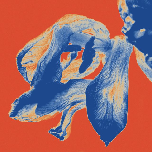 Walk on Water - 'stay a little longer' [Ringtone]
