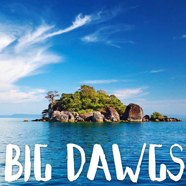 Tropical Jawns - 'Big Dawgs (Marimba Version)' [Ringtone]