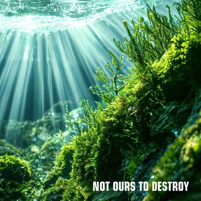 Gorilla Cha - 'Not Ours to Destroy' [Ringtone]
