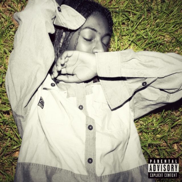 Awesomecat2011 - 'bird advice' [Ringtone]