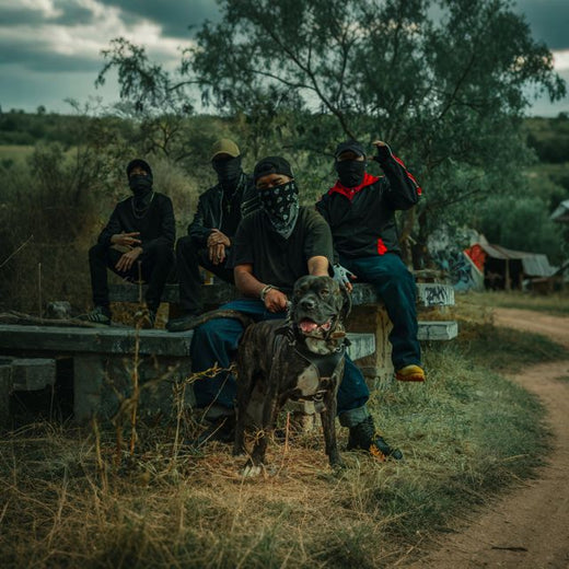 BETA CLANDESTINO - 'ANTISOCIAL' [Ringtone]