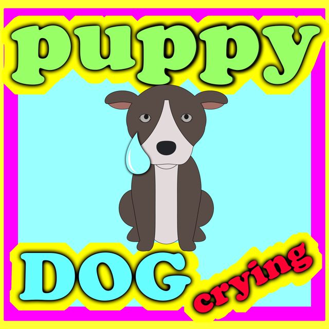 Animal Sounds - 'Puppy Dog Crying' [Ringtone]