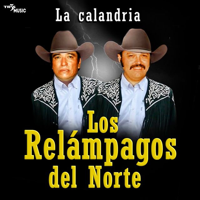 Los Relampagos Del Norte - 'Pordiosero de amor' [Ringtone]