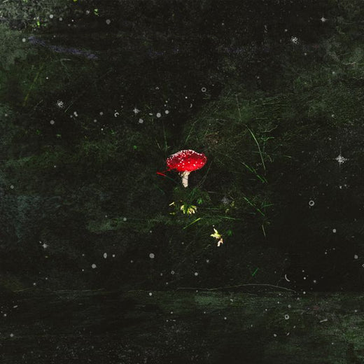 Maesk - 'starshroom' [Ringtone]