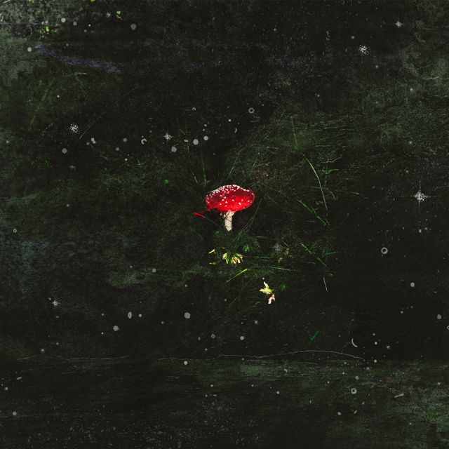 Maesk - 'starshroom' [Ringtone]