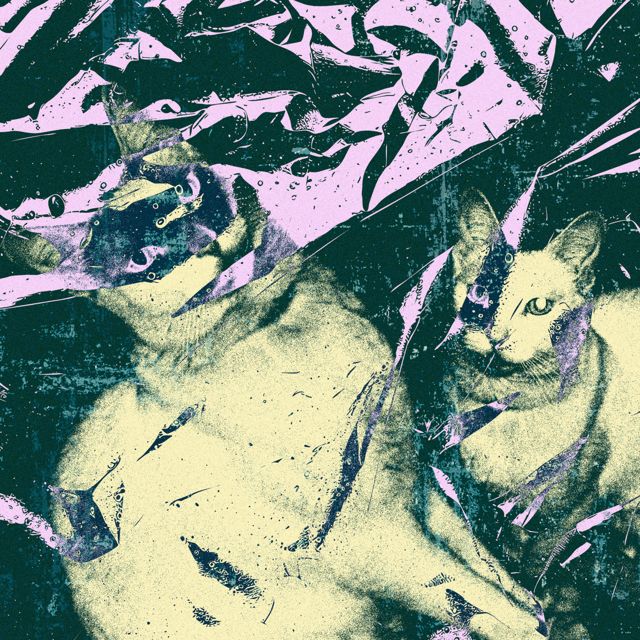Gatiesado - 'no me mientas' [Ringtone]