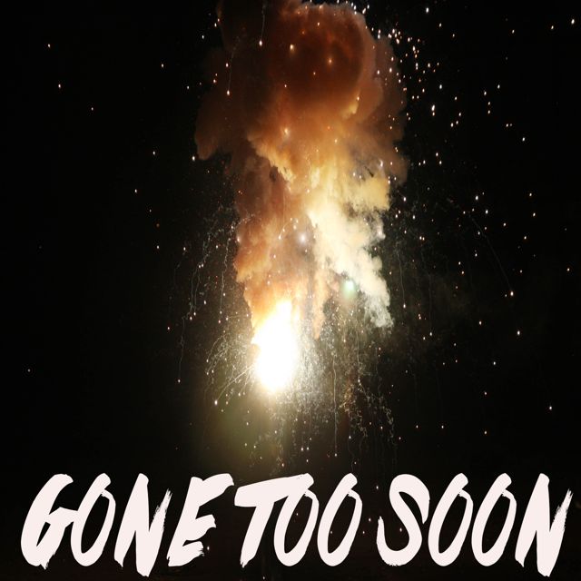 Nashville Sunset - 'Gone Too Soon (Chorus)' [Ringtone]