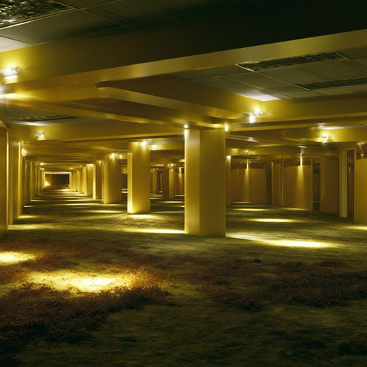 TerraVibe Soundworks - 'Backrooms' [Ringtone]
