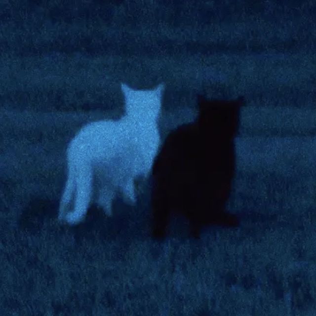 Txkumoon - 'Back In Your Life (Original Version)' [Ringtone]