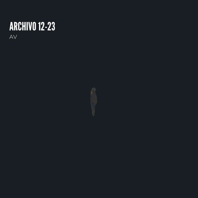 Ayrton Valenzuela - 'Archivo 12-23' [Ringtone]
