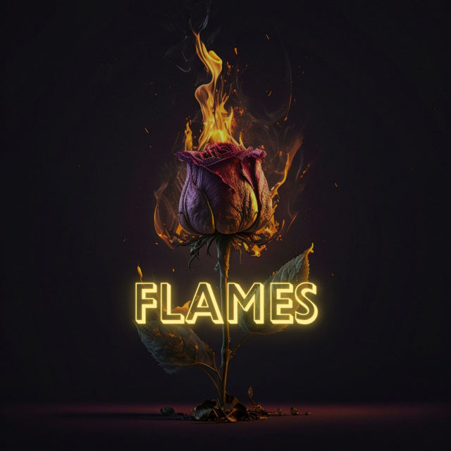 Landerson Charms - 'Flames' [Ringtone]