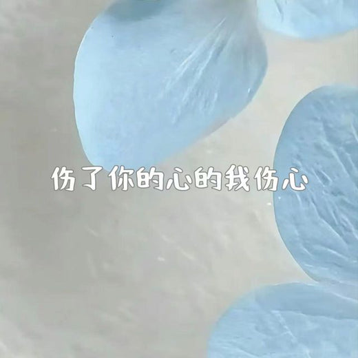白兰滴 - '伤了你的心的我伤心' [Ringtone]