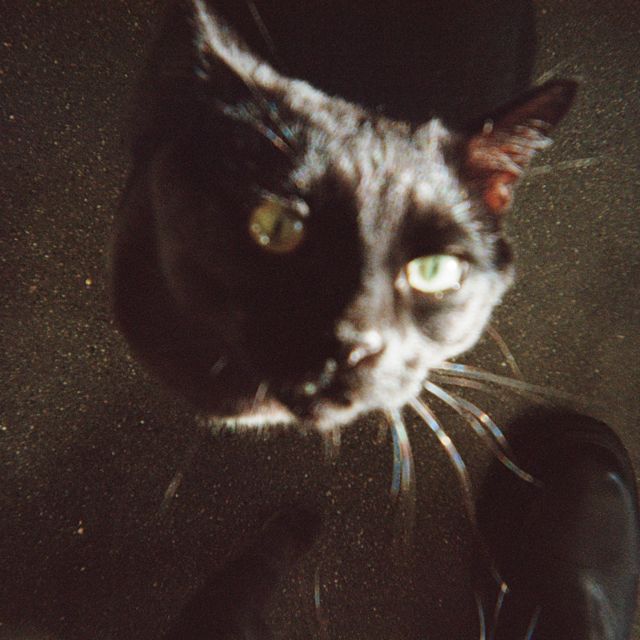 Odonis Odonis - 'No One Left (feat. ACTORS)' [Ringtone]