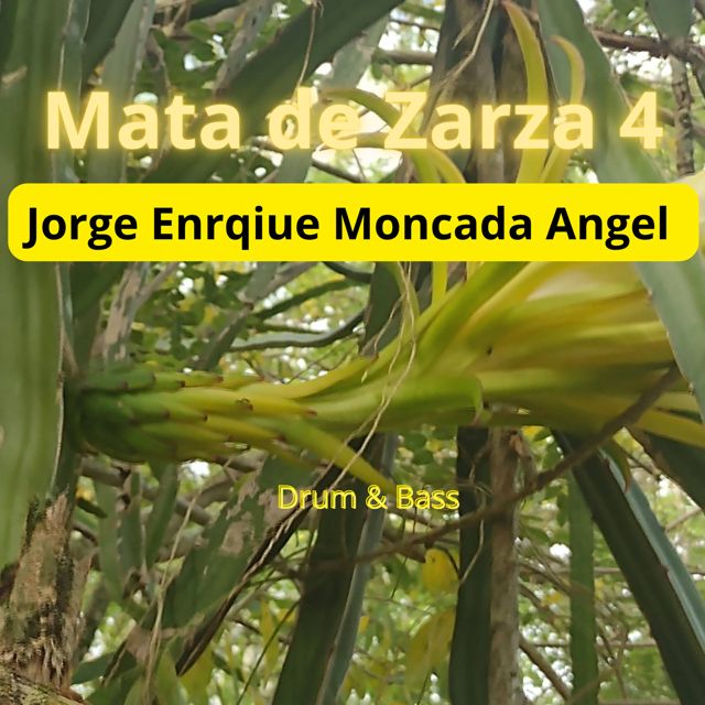 Jorge Enrique Moncada Angel - 'Mata de Zarza 4 (1)' [Ringtone]