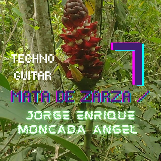 Jorge Enrique Moncada Angel - 'Mata de Zarza 7' [Ringtone]