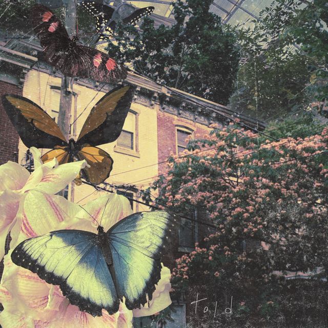diet lemon - 'told' [Ringtone]