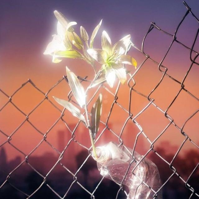 Broken Lip - 'Angel Face (feat. emziii)' [Ringtone]