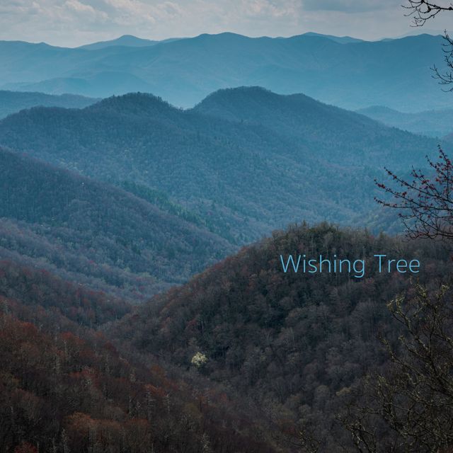 Wallace Woods - 'Wishing Tree' [Ringtone]