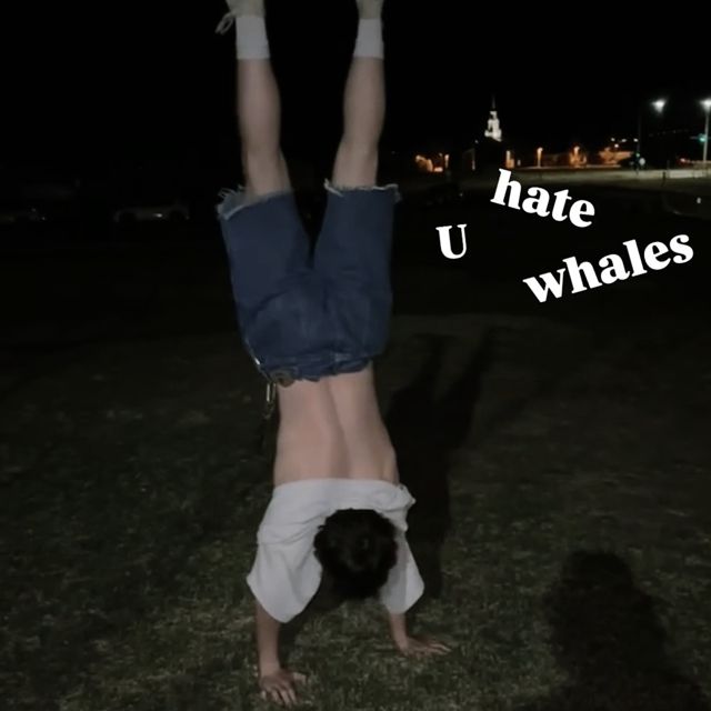 Gabe Adams - 'uhatewhales' [Ringtone]