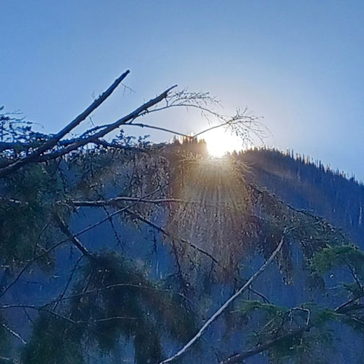 Addie Bundren - 'Don't Let the Light Fail' [Ringtone]