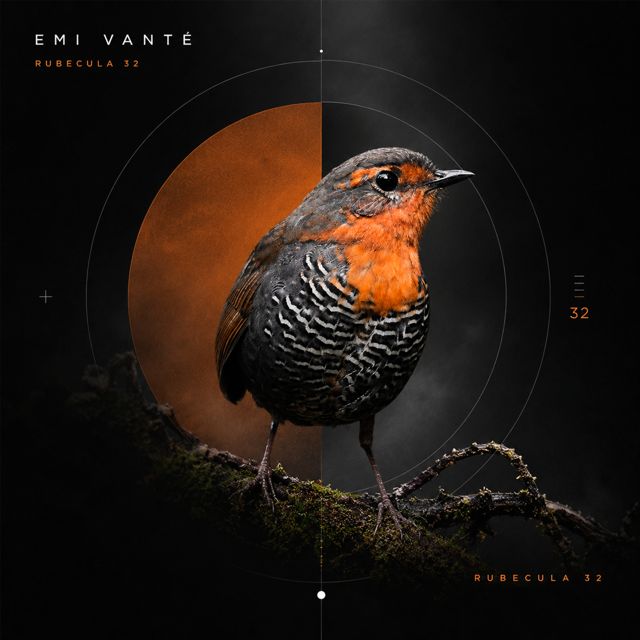 Emi Vanté - 'Rubecula 32' [Ringtone]