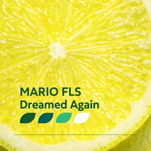 MARIO FLS - 'Take One Million' [Ringtone]