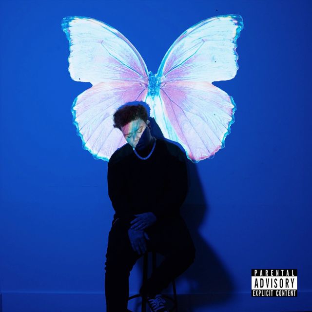 Phora - 'All Falls Down' [Ringtone]