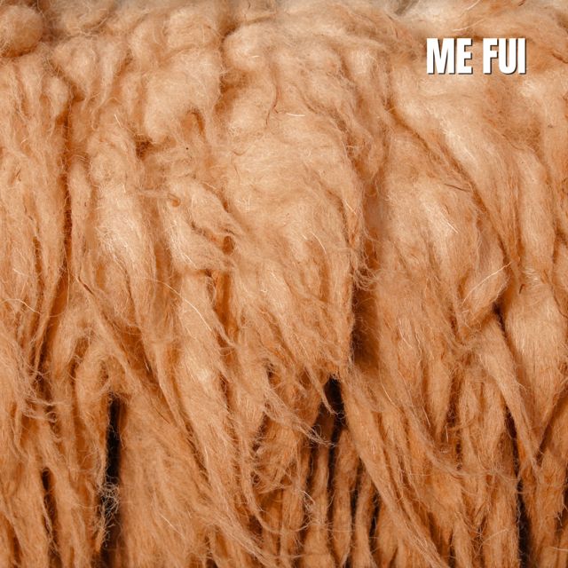 Arena Salina - 'Me Fui' [Ringtone]