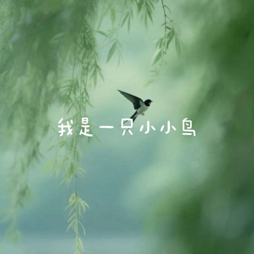 白兰滴 - '我是一只小小鸟' [Ringtone]