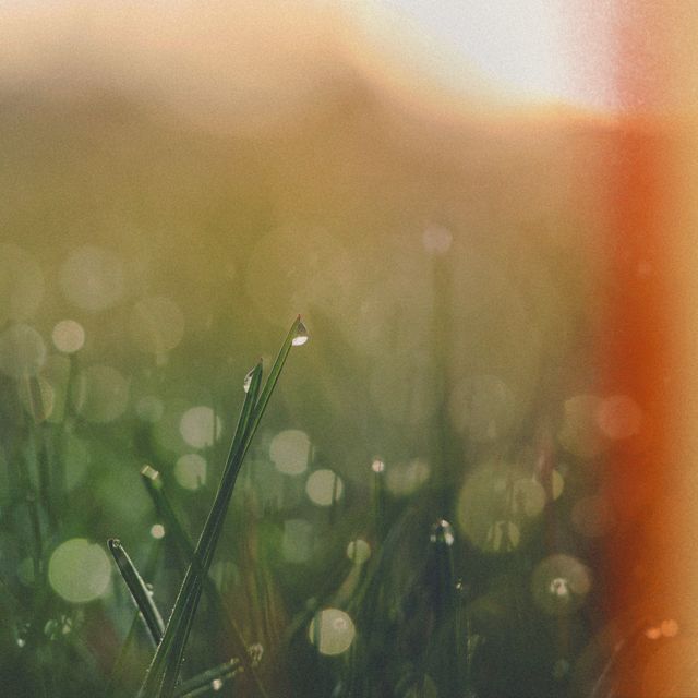 Xenia Apostolov - 'dewdrops' [Ringtone]