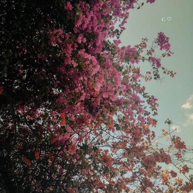 Gavrielle - 'C. ♡' [Ringtone]