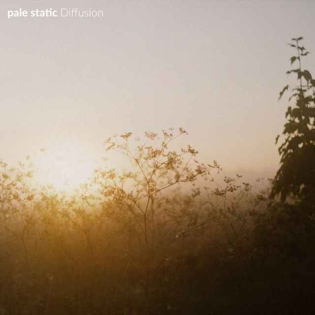 pale static - 'trahba' [Ringtone]