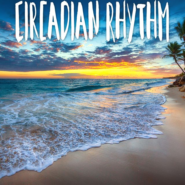 Tropical Jawns - 'Circadian Rhythm (Marimba Version)' [Ringtone]