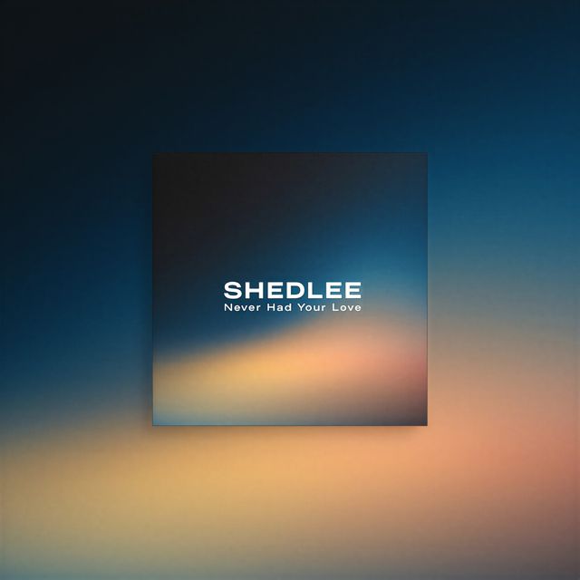 Shedlee - 'Never had your love' [Ringtone]
