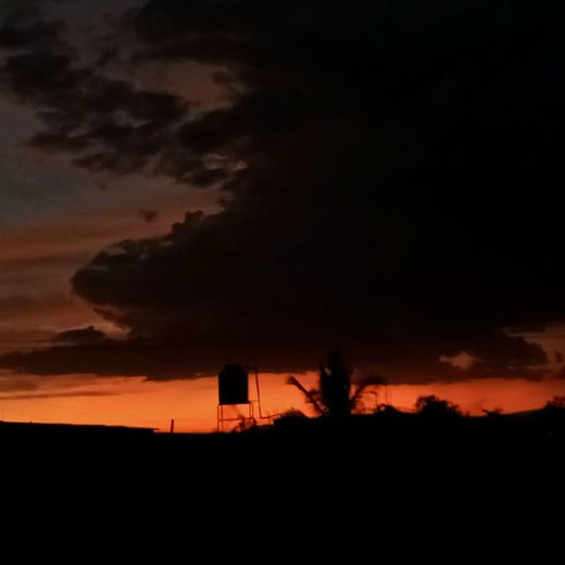 Justdieyvng - 'Otra Vez' [Ringtone]