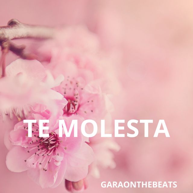 Garaonthebeats - 'Te molesta' [Ringtone]