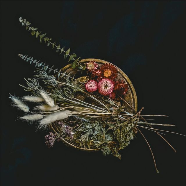saturnsays - 'g budrioli (1498)' [Ringtone]