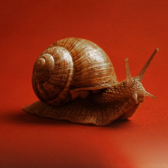 A Última Theoria - 'Fio Vermelho' [Ringtone]