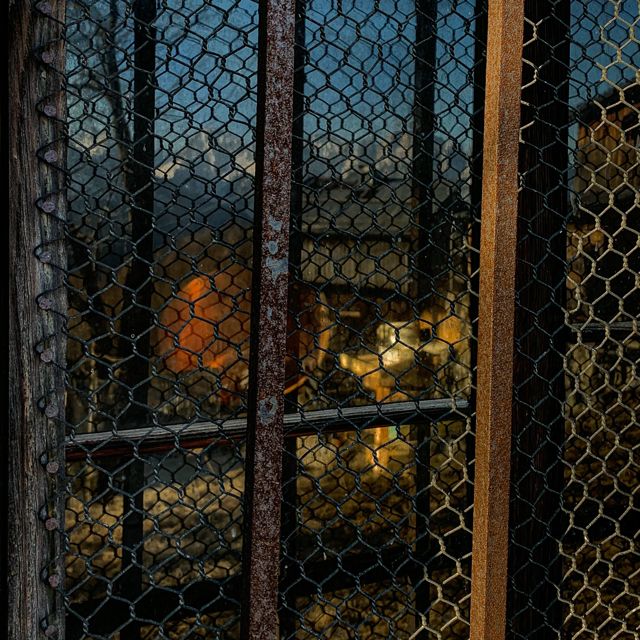 Morning Haze - 'A Feeble Flame' [Ringtone]