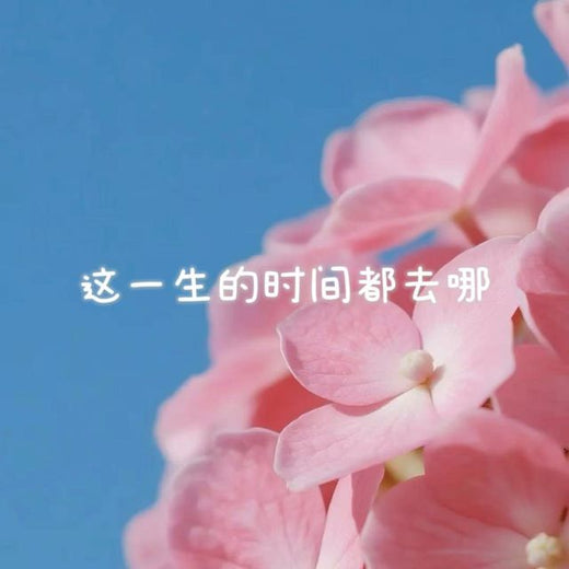 白兰滴 - '这一生的时间都去了哪' [Ringtone]