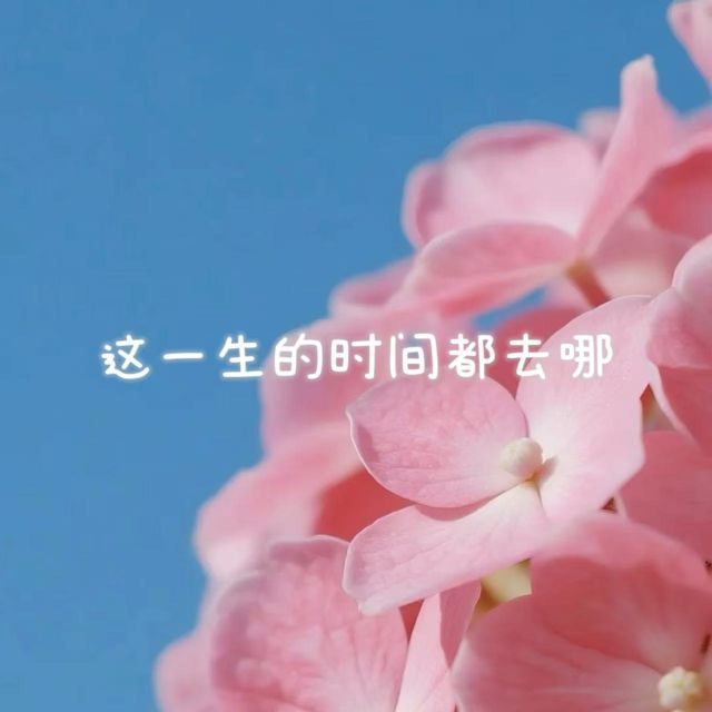白兰滴 - '这一生的时间都去了哪' [Ringtone]