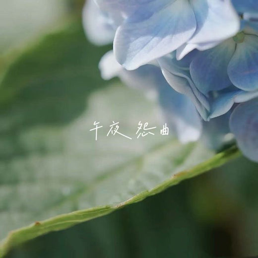 林诗曼 - '午夜怨曲' [Ringtone]