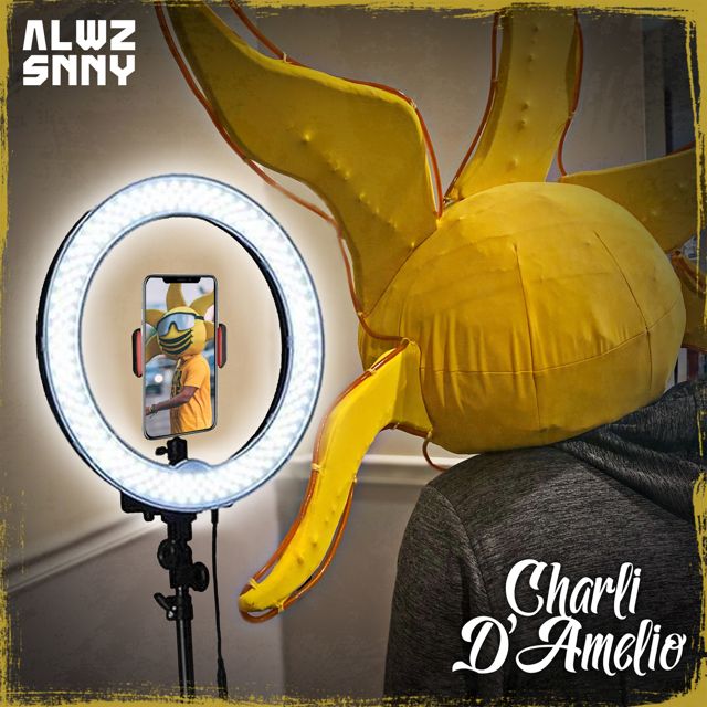 Alwz Snny - 'Charli D'Amelio' [Ringtone]