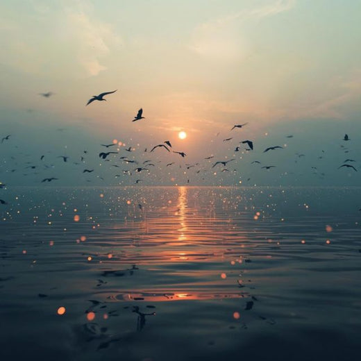 Zen Drift - 'Falling Ember' [Ringtone]
